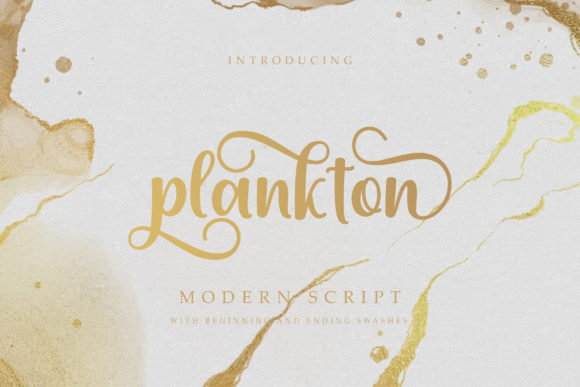 Plankton: A Premium Script Font for Editorial Design