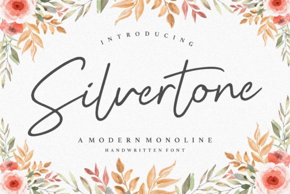Silvertone: A Designer's Honest Review